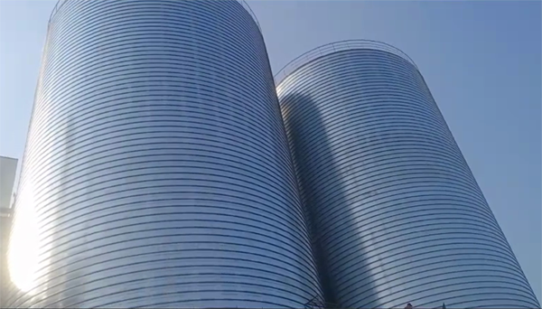 新密2座混凝土高架卷板仓